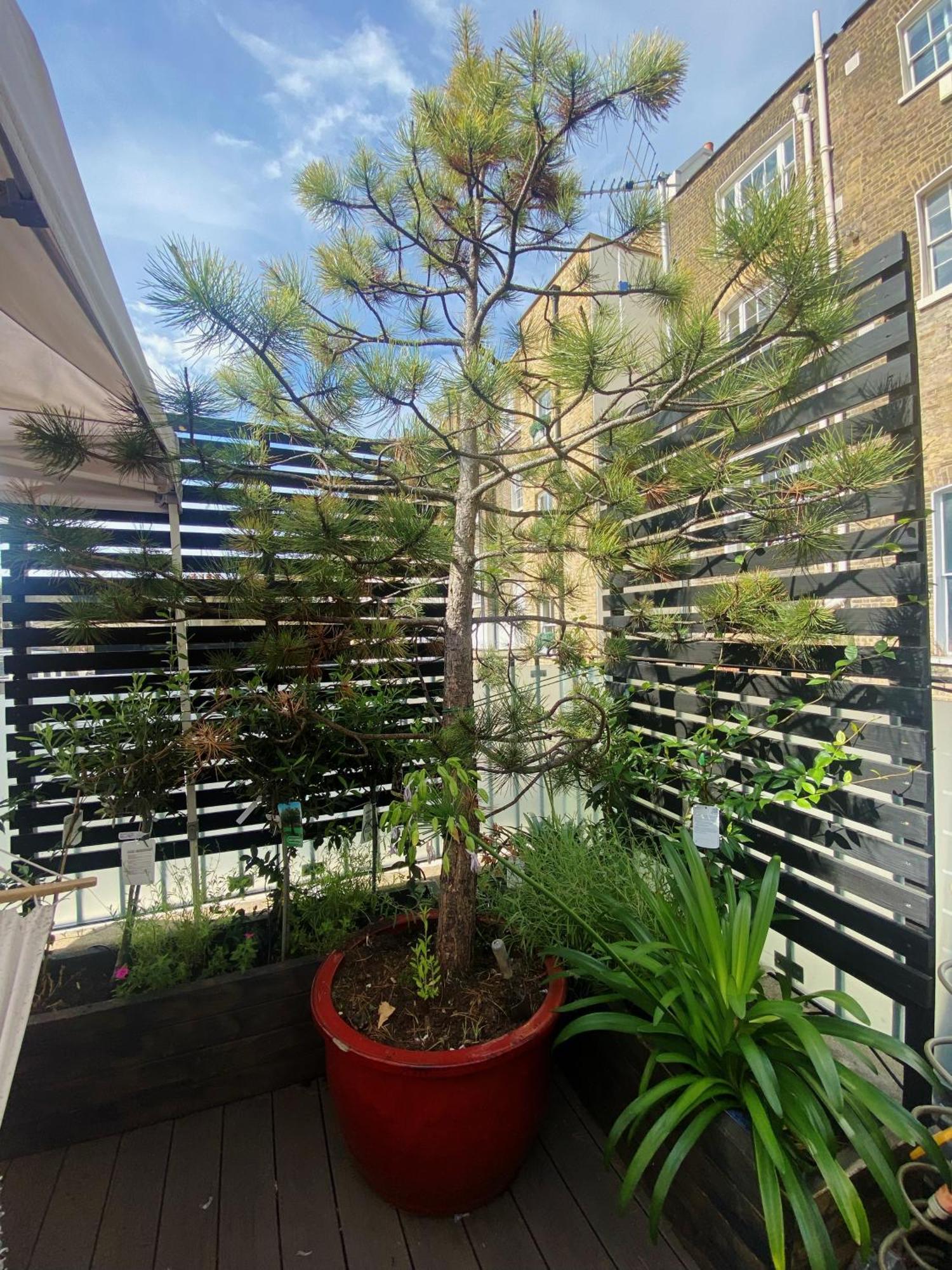 Luxury Belgrave Square Private Mews Townhouse Vila Londres Exterior foto